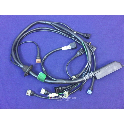 Fiat Wiring Harnes - Wiring Diagrams