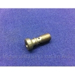 Accelerator Pump Check Valve Screw Weber 30 DIC (Fiat 850 Spider 1965-69) - OE NOS