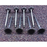 Intake Valve SET 8x (Fiat 500 All 2012-19) - NEW