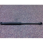 Liftgate / Hatch Prop - Strut (Fiat 500 Convertible 2012-19) - NEW