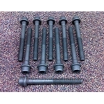 Cylinder Head Bolt 10x SET (Fiat 500 All 2012-19) - NEW