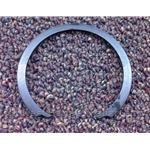 Wheel Bearing Retainer Ring - Front (Fiat 500 All 2012-19) - NEW