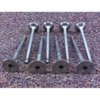         Exhaust Valve SET 8x (Fiat 500 All 2012-19) - NEW