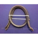 Targa Top Rubber Seal Front / Rear (Lancia Beta Zagato) - U8
